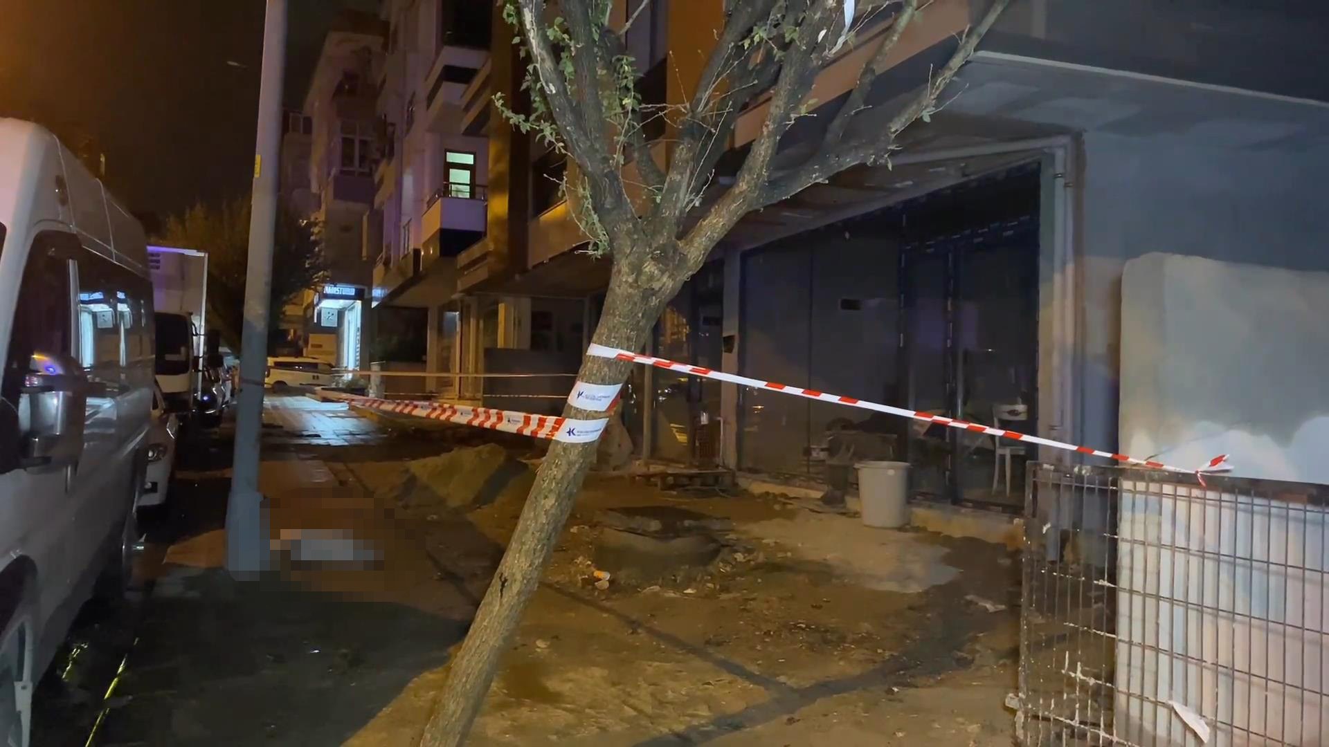 Küçükçekmece'de Elektrik Akımına Kapılan Köpek Hayatını Kaybetti, Sahibi Yaralandı
